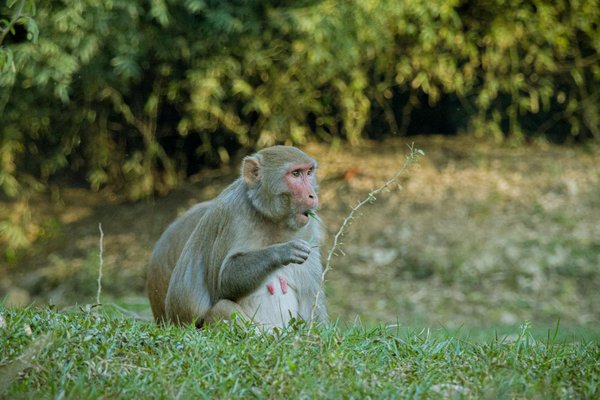 Destinations Incontournables de l'Art Urbain : Explorations des Grandes Métropoles