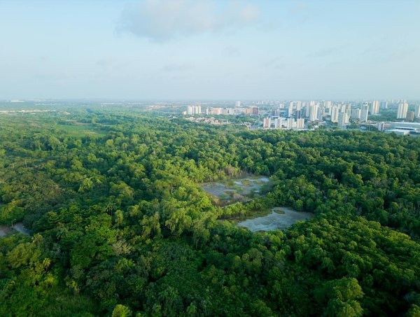 Top 6 des sites cbd en france à connaître en 2025