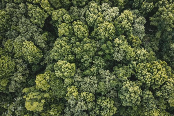 Comment la digitalisation influence-t-elle notre quotidien ?